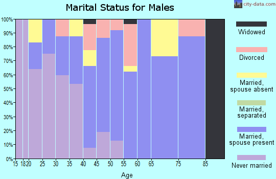 Zip code 96729 marital status for males