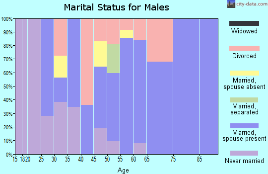 Zip code 96730 marital status for males