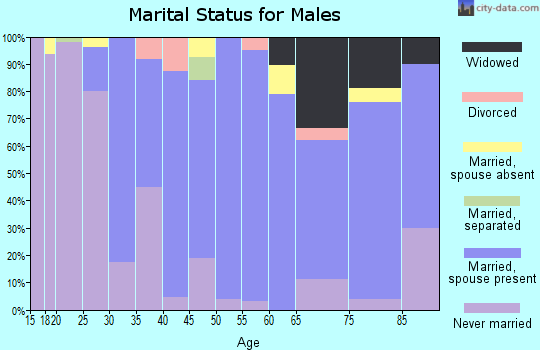 Zip code 96731 marital status for males