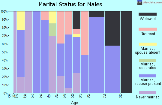 Zip code 96737 marital status for males