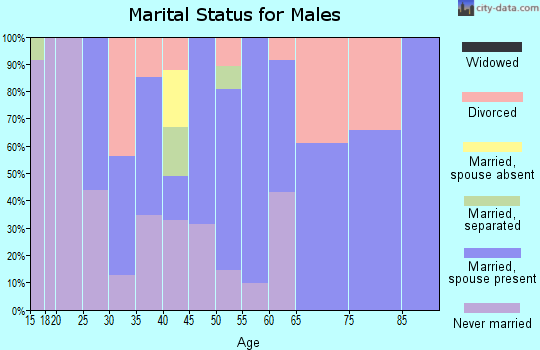 Zip code 96738 marital status for males