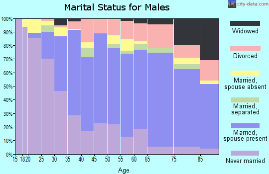 Zip code 96740 marital status for males