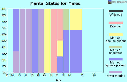 Zip code 96742 marital status for males