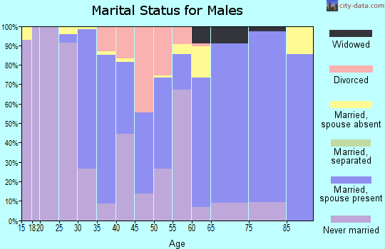 Zip code 96748 marital status for males