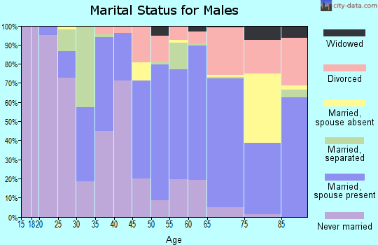 Zip code 96749 marital status for males