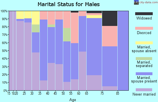 Zip code 96750 marital status for males