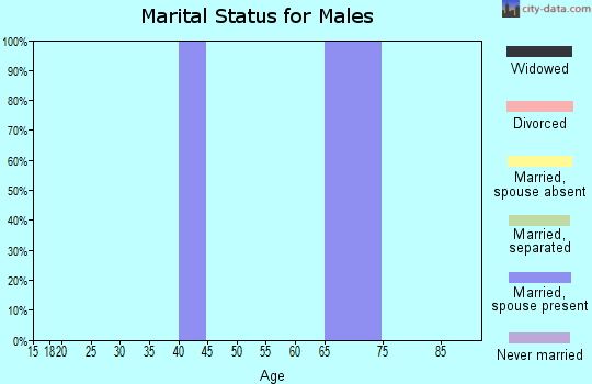 Zip code 96751 marital status for males