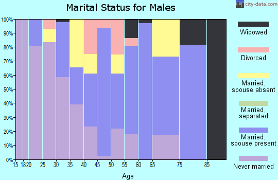 Zip code 96752 marital status for males