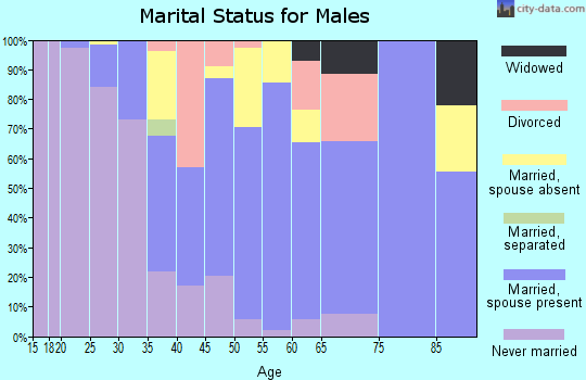 Zip code 96754 marital status for males