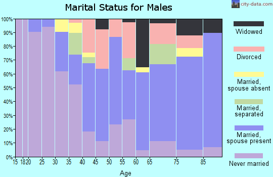 Zip code 96755 marital status for males