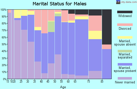 Zip code 96756 marital status for males