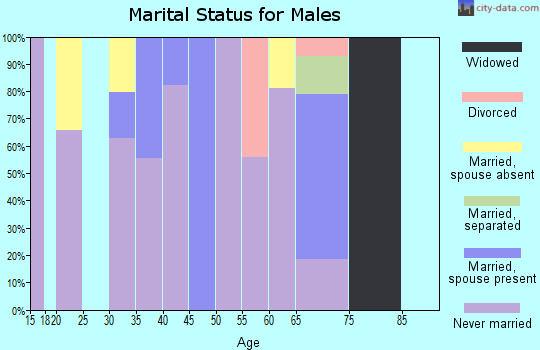 Zip code 96757 marital status for males