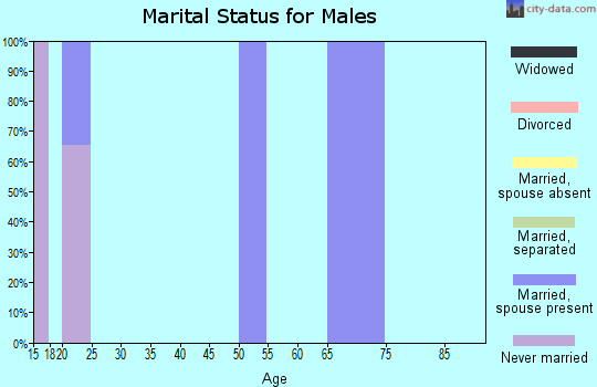 Zip code 96759 marital status for males