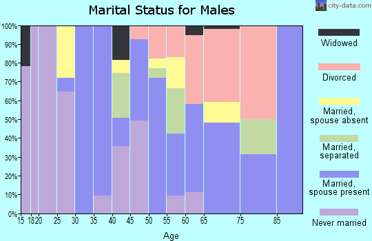 Zip code 96760 marital status for males