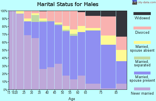 Zip code 96761 marital status for males