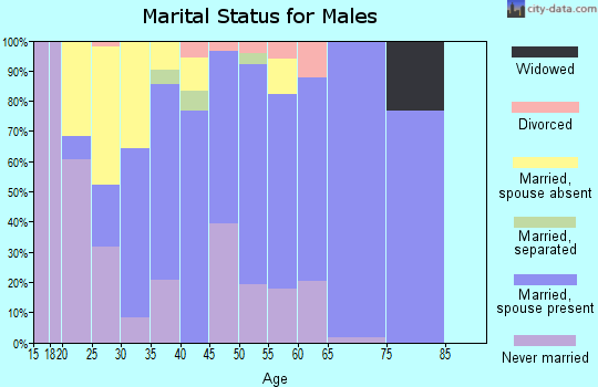 Zip code 96762 marital status for males