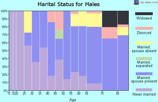 Zip code 96763 marital status for males