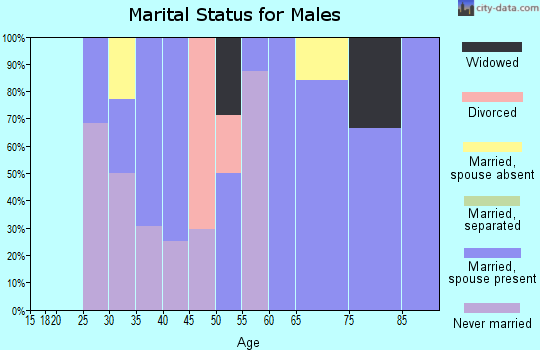Zip code 96764 marital status for males