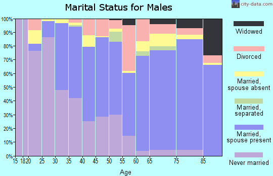Zip code 96766 marital status for males