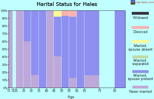 Zip code 96770 marital status for males