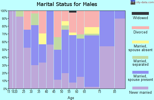 Zip code 96771 marital status for males