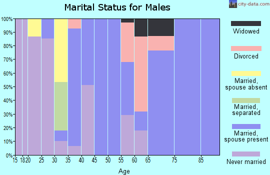 Zip code 96772 marital status for males