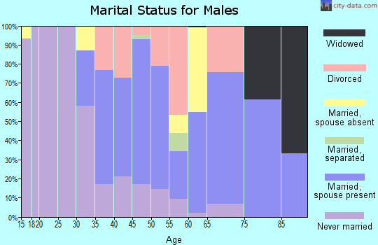 Zip code 96776 marital status for males