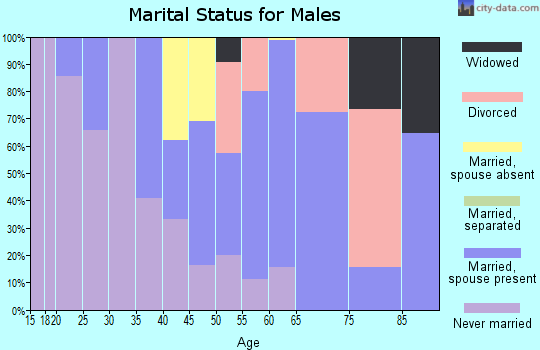 Zip code 96777 marital status for males