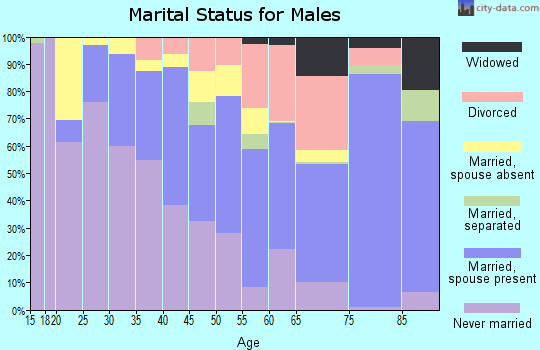 Zip code 96778 marital status for males