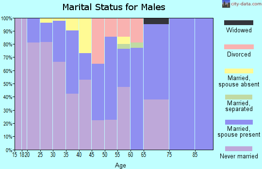 Zip code 96779 marital status for males