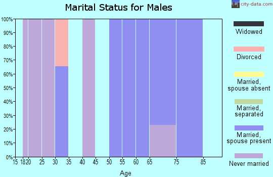 Zip code 96780 marital status for males