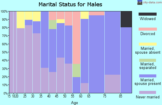 Zip code 96781 marital status for males