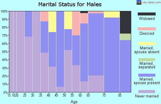 Zip code 96783 marital status for males