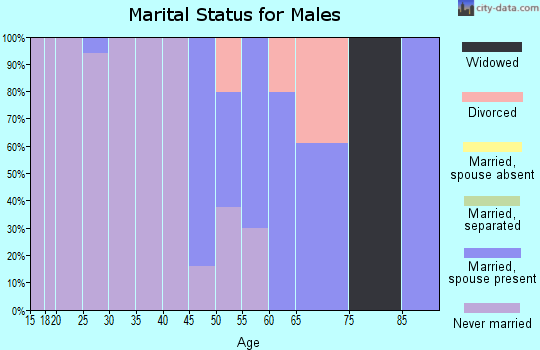 Zip code 96785 marital status for males