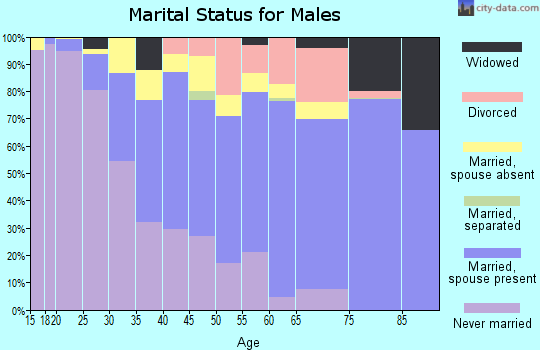 Zip code 96795 marital status for males