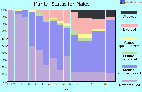 Zip code 96814 marital status for males