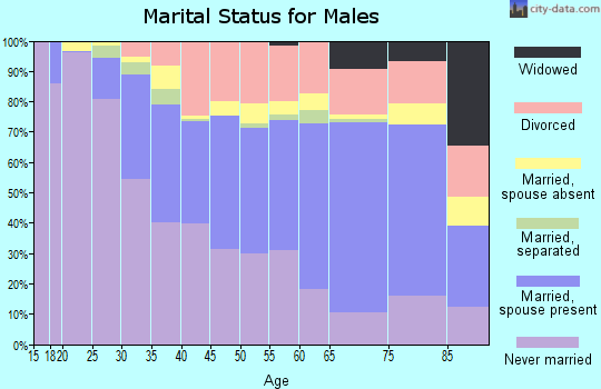 Zip code 96815 marital status for males
