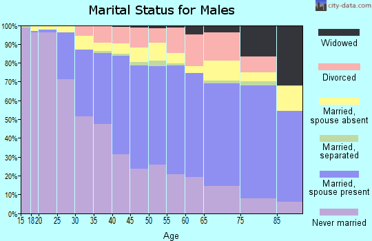 Zip code 96817 marital status for males