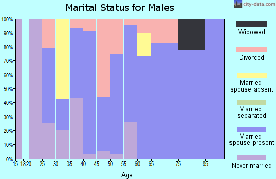 Zip code 97040 marital status for males