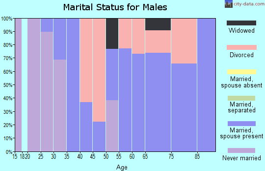Zip code 97063 marital status for males