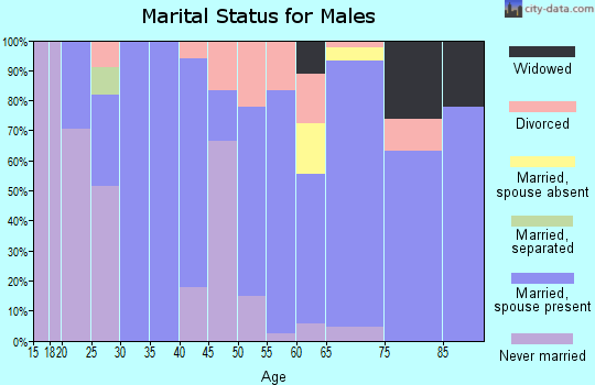Zip code 97065 marital status for males