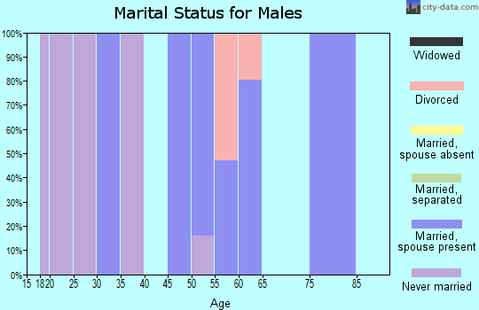 Zip code 97108 marital status for males