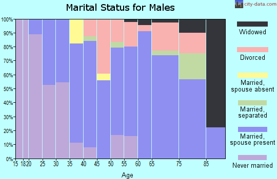 Zip code 97119 marital status for males