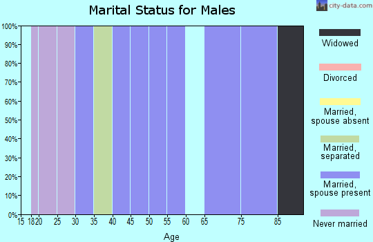 Zip code 97122 marital status for males