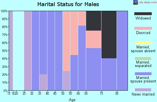 Zip code 97130 marital status for males
