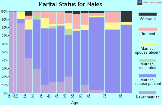 Zip code 97132 marital status for males