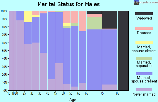 Zip code 97133 marital status for males