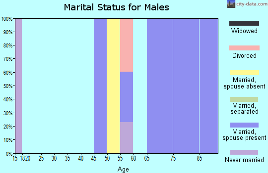 Zip code 97135 marital status for males