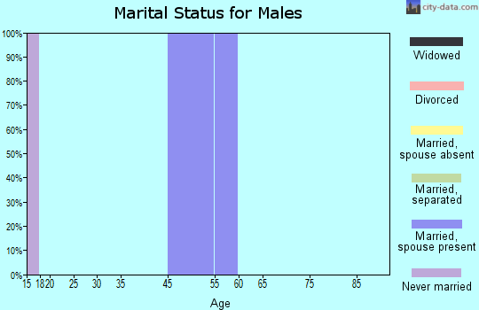 Zip code 97143 marital status for males