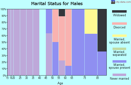 Zip code 97147 marital status for males